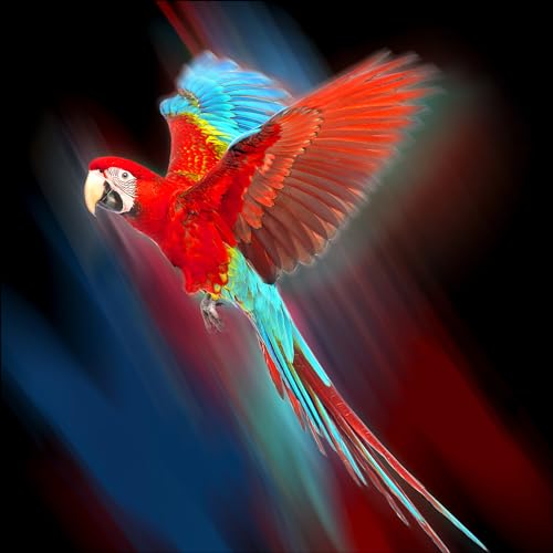 Pro-Art Glasbild Red Parrot, 30x30 cm von Pro-Art