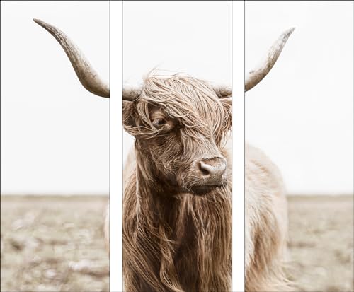 Pro-Art Glasbild Scottish Highland Cattle VII, 80x90 cm von Pro-Art