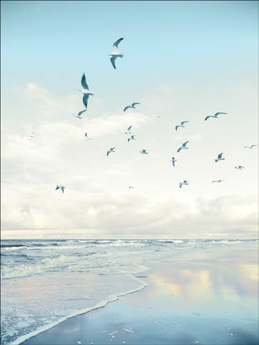 Pro-Art Glasbild Seagulls On The Beach, 80x60 cm Pro-Art Glasbild Seagulls On The Beach, 80x60 cm von Pro-Art