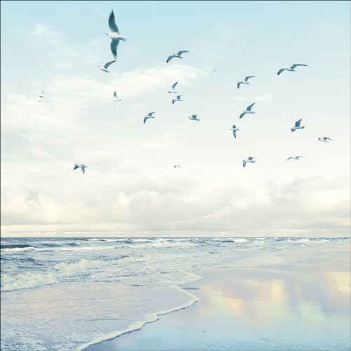 Pro-Art Glasbild Seagulls On The Beach, 80x80 cm Pro-Art Glasbild Seagulls On The Beach, 80x80 cm von Pro-Art