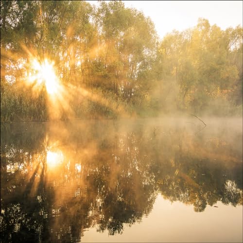Pro-Art Glasbild Sun At The Pond, 30x30 cm Pro-Art Glasbild Sun At The Pond, 30x30 cm von Pro-Art-Bilderpalette
