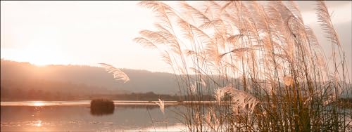 Pro-Art Glasbild Sunset On The Lake, 30x80 cm von Pro-Art