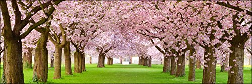 Pro-Art g1298f Wandbild Giclée 'Frühling I' 180 x 60 cm von Pro-Art-Bilderpalette