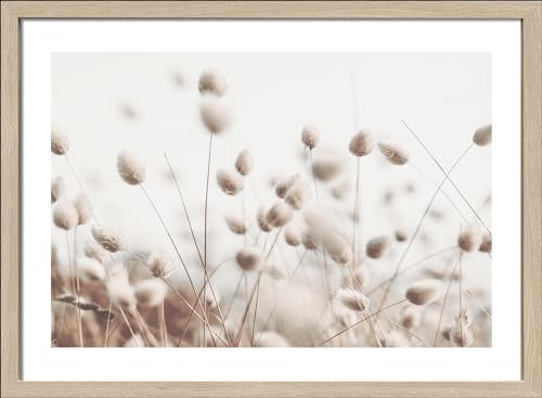 Pro-Art gerahmtes Wandbild Scandic Living Dried fieber in the wind II, 55x75 cm von Pro-Art