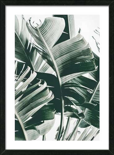 Pro-Art gerahmtes Wandbild Scandic Living Jungle Leaves IV, 55x75 cm von Pro-Art