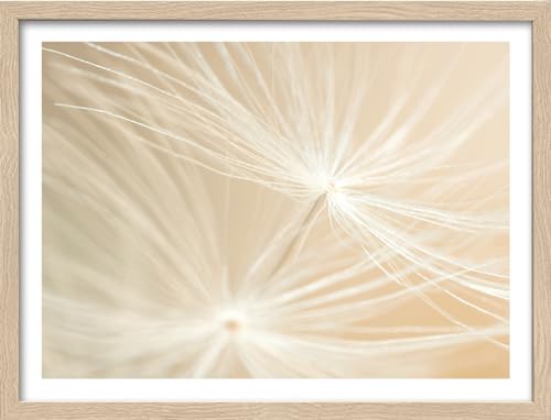 Pro-Art gerahmtes Wandbild Slim Scandic Dandelion III, 42,5x32,5 cm von Pro-Art