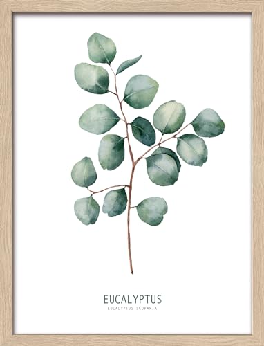 Pro-Art gerahmtes Wandbild Slim Scandic Different Eucalyptus Branches ll, 42,5x32,5 cm von Pro-Art