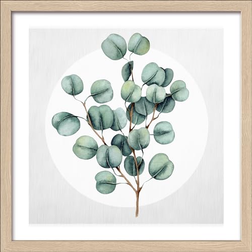 Pro-Art gerahmtes Wandbild Slim Scandic Different Eucalyptus Branches lll, 32,5x32,5 cm von Pro-Art