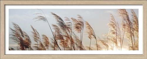 Pro-Art gerahmtes Wandbild Slim Scandic Dried Fiber II, 85x35 cm von Pro-Art-Bilderpalette