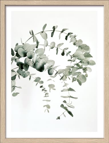 Pro-Art gerahmtes Wandbild Slim Scandic Eucalyptus Branch III, 42,5x32,5 cm von Pro-Art