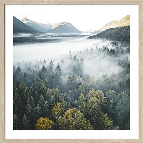 Pro-Art gerahmtes Wandbild Slim Scandic Foggy Forest Atmosphere, 52,5x52,5 cm von Pro-Art