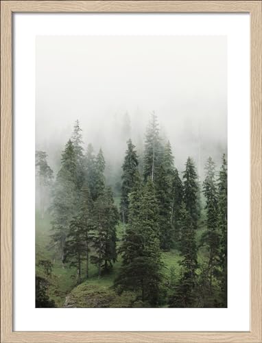 Pro-Art gerahmtes Wandbild Slim Scandic Foggy Trees II, 42,5x32,5 cm von Pro-Art