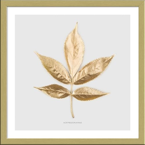 Pro-Art gerahmtes Wandbild Slim Scandic Golden Leaf I, 32,5x32,5 cm von Pro-Art