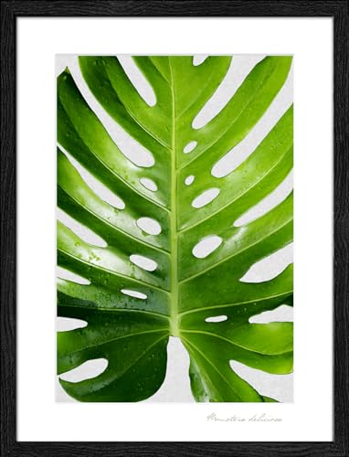 Pro-Art gerahmtes Wandbild Slim Scandic Green Plant II, 42,5x32,5 cm von Pro-Art