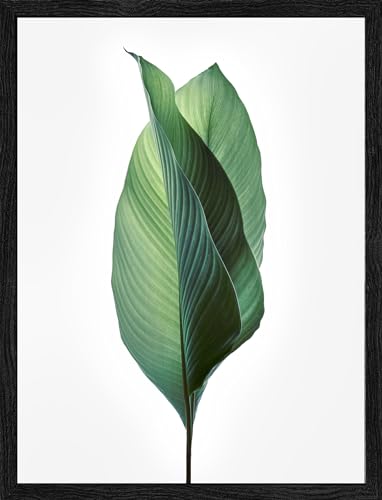 Pro-Art gerahmtes Wandbild Slim Scandic Jungle Leaves I, 24x19 cm von Pro-Art