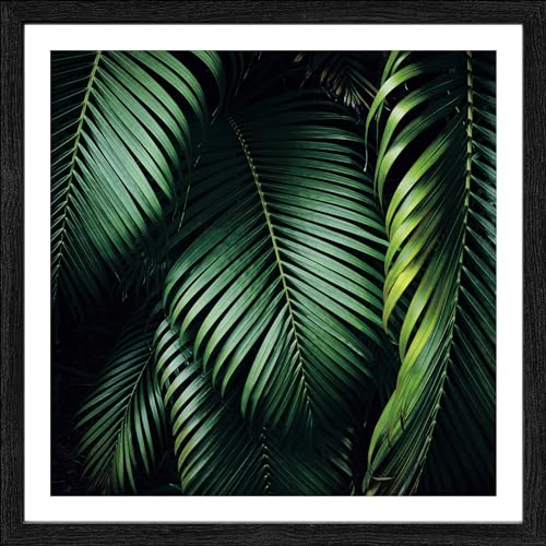 Pro-Art gerahmtes Wandbild Slim Scandic Jungle Leaves I, 28x28 cm von Pro-Art