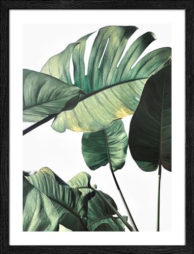 Pro-Art gerahmtes Wandbild Slim Scandic Jungle Leaves II, 42,5x32,5 cm von Pro-Art
