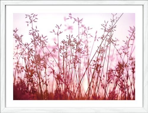 Pro-Art gerahmtes Wandbild Slim Scandic Meadow Flowers, 42,5x32,5 cm von Pro-Art