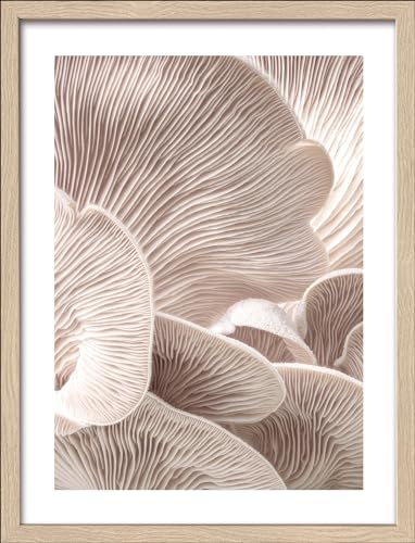 Pro-Art gerahmtes Wandbild Slim Scandic Mushrooms, 42,5x32,5 cm von Pro-Art