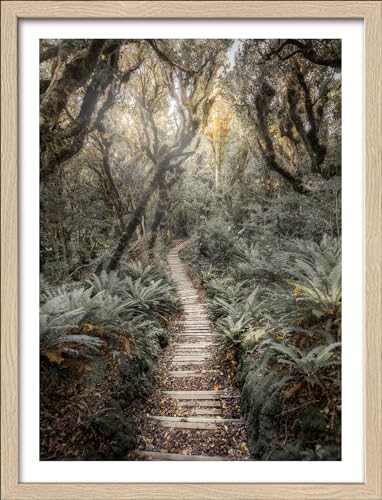 Pro-Art gerahmtes Wandbild Slim Scandic Through The Jungle, 42,5x32,5 cm Pro-Art gerahmtes Wandbild Slim Scandic Through The Jungle, 42,5x32,5 cm von Pro-Art