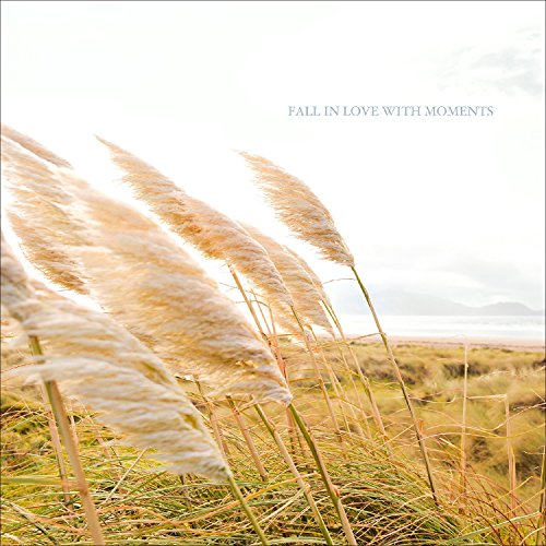 Pro-Art gla1073d Wandbild Glas-Art 'Fall in Love with Moments' 20 x 20 cm von Pro-Art-Bilderpalette