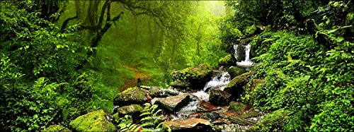 Pro-Art gla1120o Wandbild Glas-Art 'Fairy tale forest' 50 x 125 cm von Pro-Art-Bilderpalette