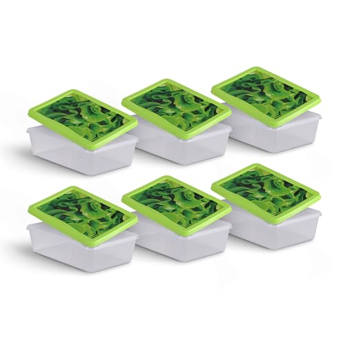 Frischhaltedosen für Lebensmittel 1,25 L (6er Pack) Vorratsdose, Aufbewahrungsbox für Obst, Gemüse oder Snacks, Meal Prep Box, Lunchbox von Pro Home