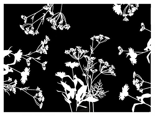 Pronappe Tischdecke 314326I 500er Pack Einweg-Tischset aus geprägtem Papier mit schwarz-weißem Blumendruck 30 x 40 cm hergestellt in Frankreich von Pro Nappe