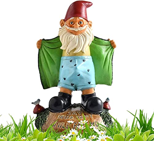 Pro-Noke Lustige Garten GNOME Yard Decor.Resin Lustige GNOME Figur, Zwerg zeigt Unterhosen, Garten GNOME Dekor für Yard Art, Patio, Rasen, Türstiefel, Housewarming Geschenk von Pro-Noke