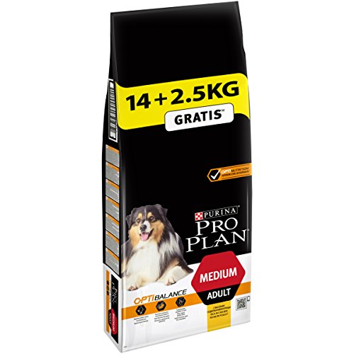 Pro Plan Dog Medium Adult, Reich an Huhn, Trockenfutter Beutel von Pro Plan