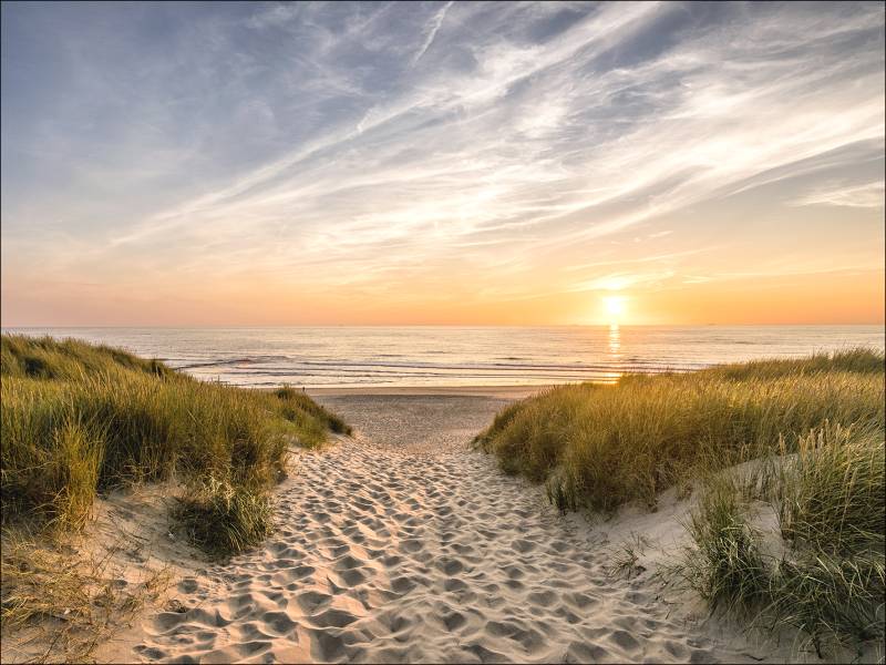PRO ART Canvas-Art Junges Wohnen 80x60cm Weg Zum Strand von ProArt