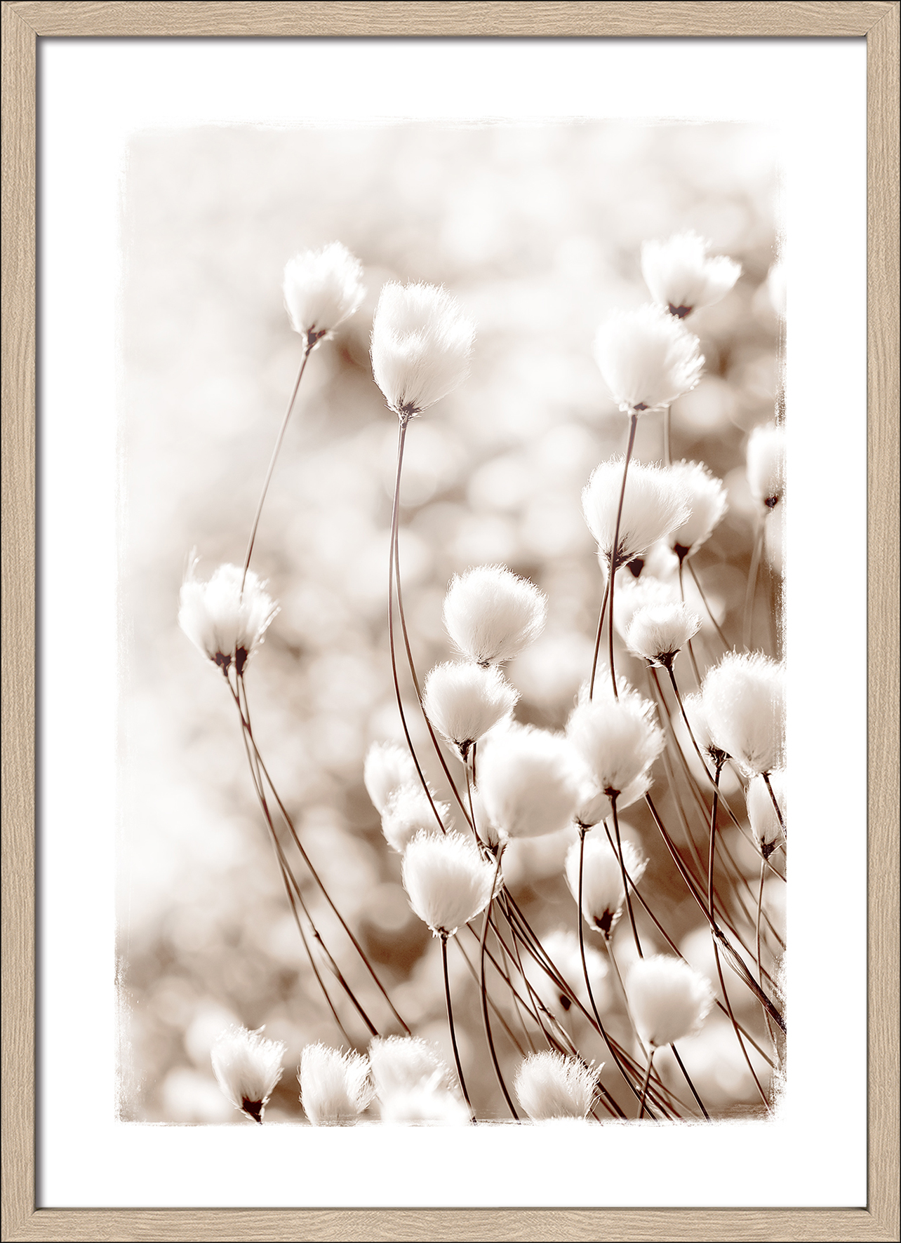 PRO ART Framed-Art Scandic Living 75x55cm Dried Fiber In The wind V PRO ART Framed-Art Scandic Living 75x55cm Dried Fiber In The wind V von ProArt