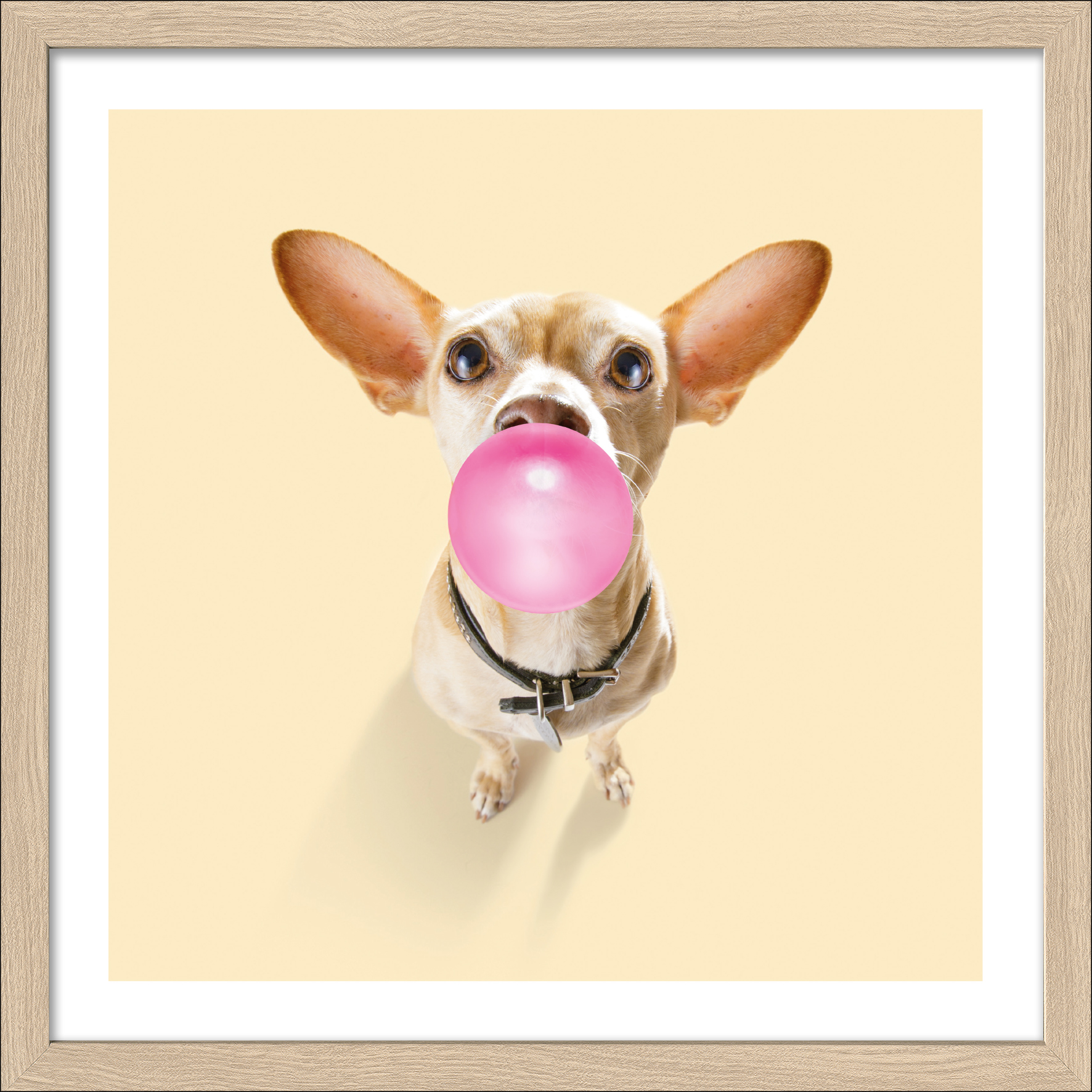 PRO ART Framed-Art Slim Scandic 33x33cm Dogs Chewing Gum I von ProArt