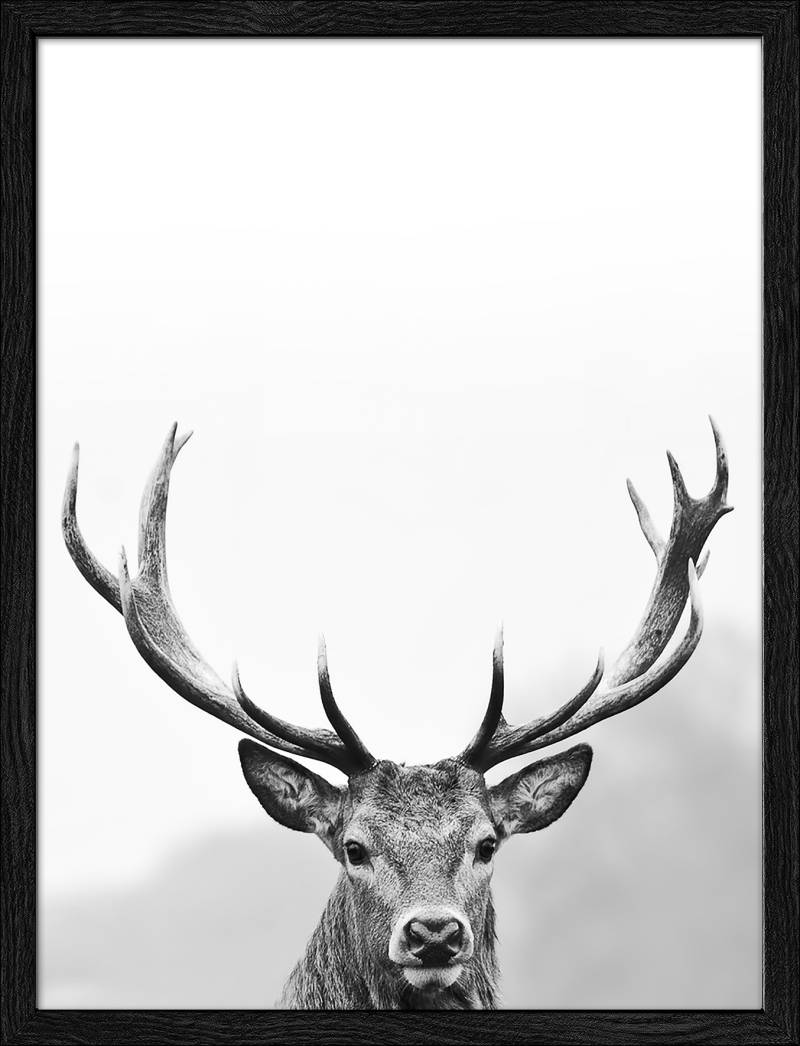 PRO ART Framed-Art Slim Scandic 43x33cm Grey Dead Head III von ProArt
