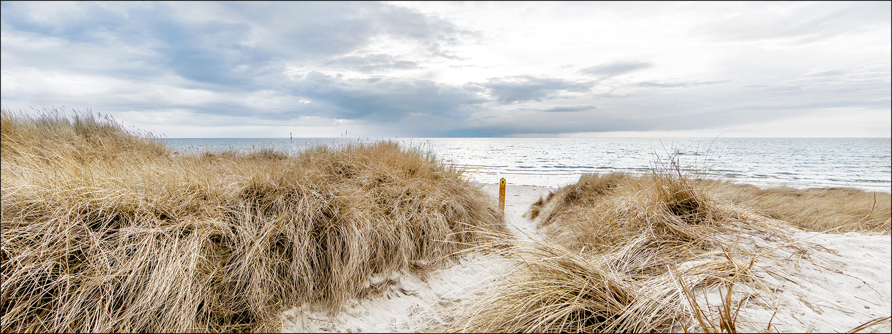 PRO ART Glas-Art 125x50cm Ocean View III von ProArt