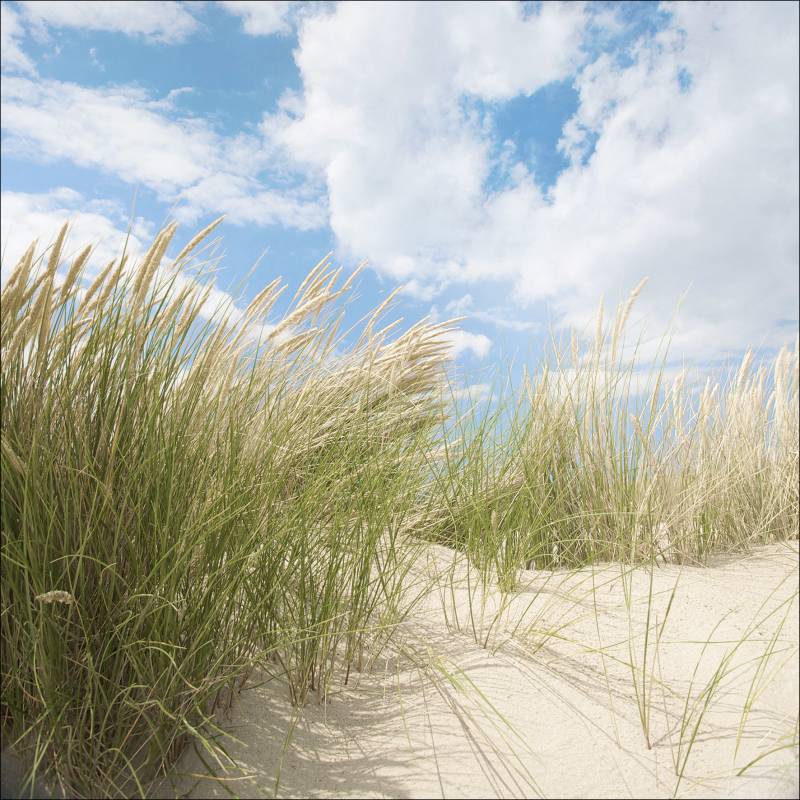 PRO ART Glas-Art 30x30cm Sommertag I von ProArt