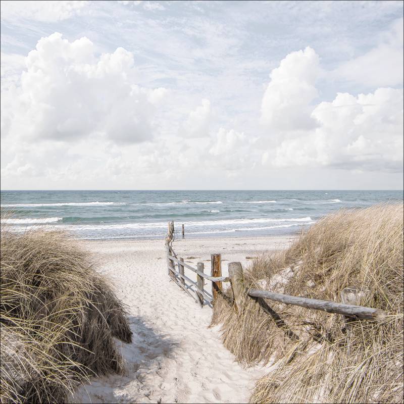 PRO ART Glas-Art 50x50cm Way To Beach von ProArt