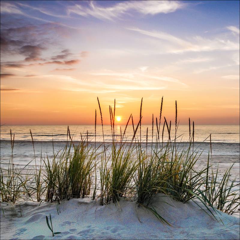 PRO ART Glas-Art 80x80cm Lonely Dune von ProArt