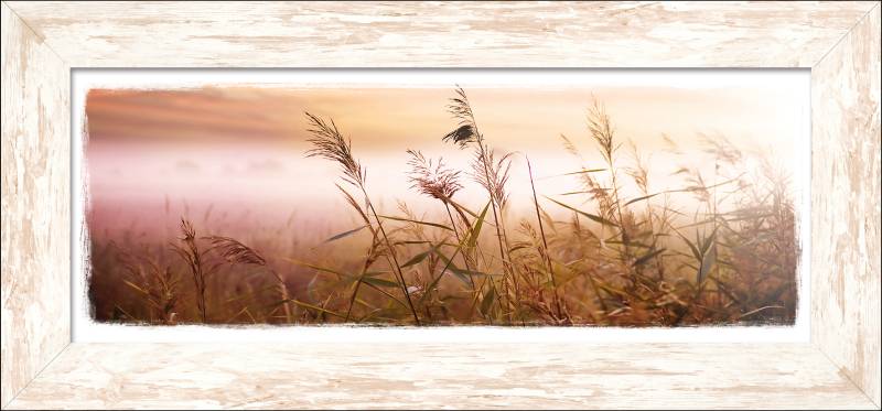 PRO ART New Classic Wood 94x44cm Dried Flowers In The Morning von ProArt