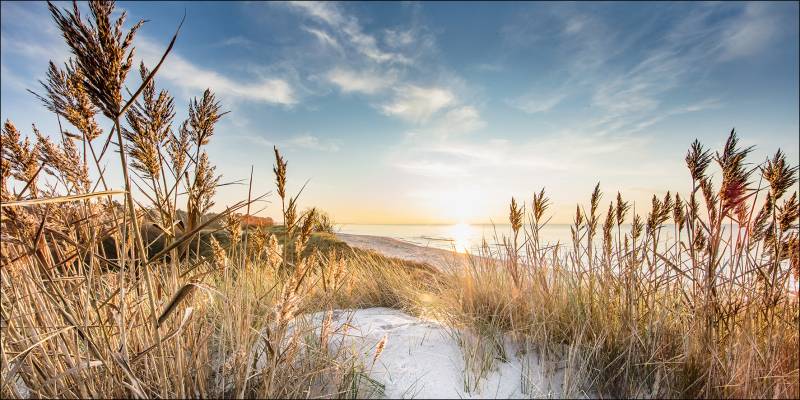 ProArt Alu-Art 200x100cm Wilder Strand III ProArt Alu-Art 200x100cm Wilder Strand III von ProArt