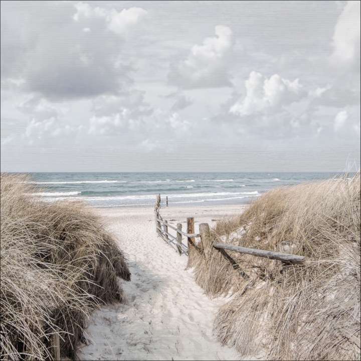 ProArt Alu-Art 98x98cm Way To Sea II ProArt Alu-Art 98x98cm Way To Sea II von ProArt
