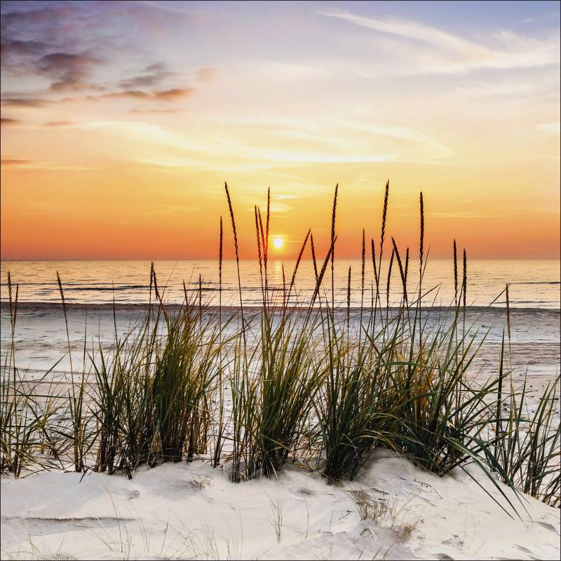 ProArt Canvas-Art 30x30cm Lonely Dune von ProArt