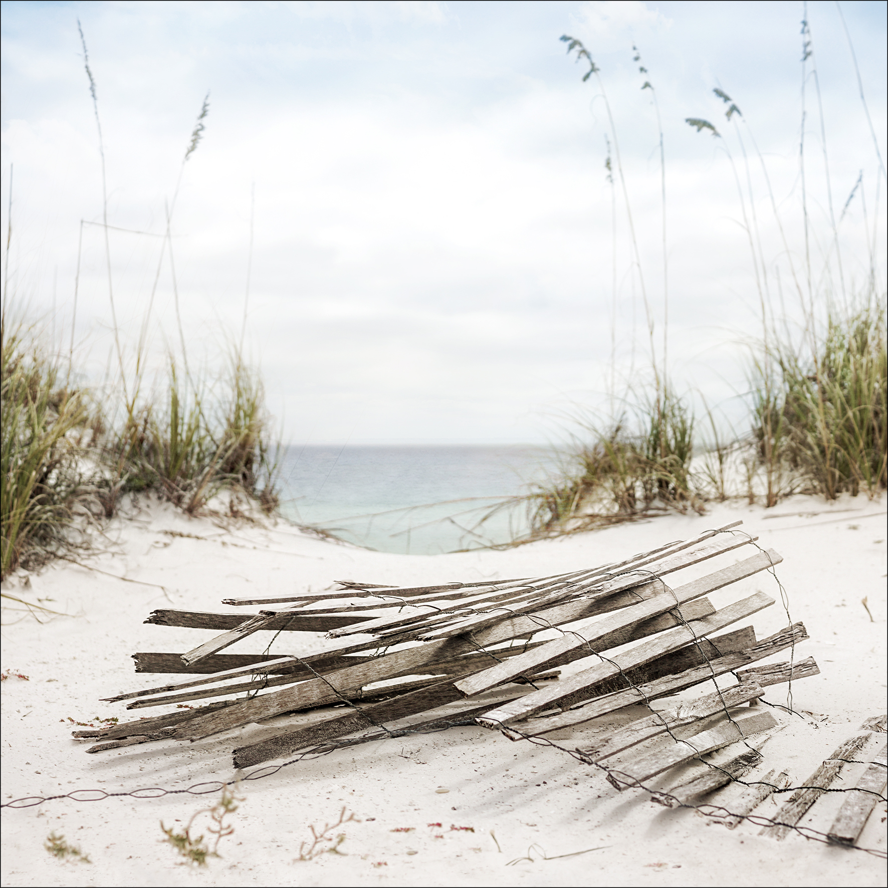 ProArt Canvas-Art 30x30cm Sea View III von ProArt