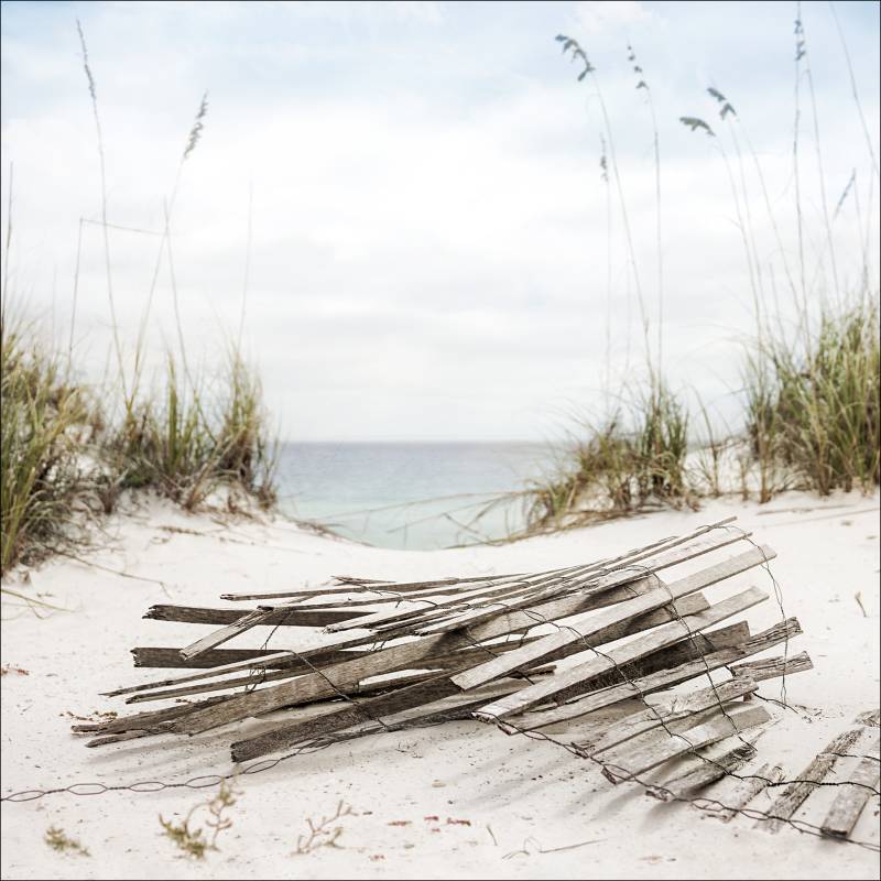 ProArt Canvas-Art 30x30cm Sea View III von ProArt