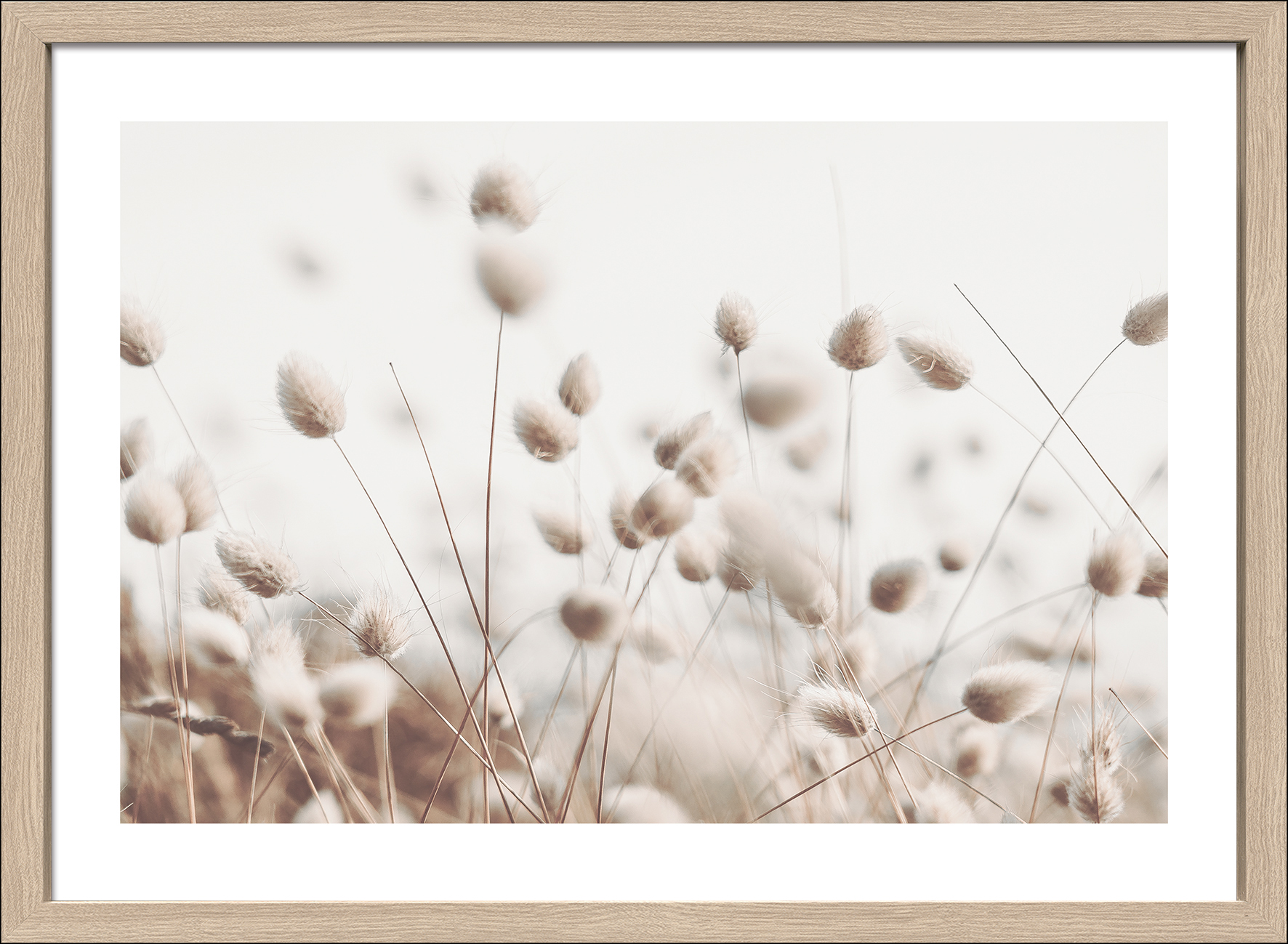 ProArt Framed-Art Scandic Living 75x55cm Dried fieber in the wind II ProArt Framed-Art Scandic Living 75x55cm Dried fieber in the wind II von ProArt