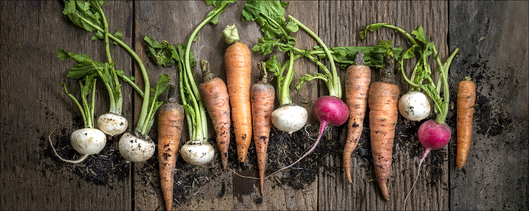 ProArt Glas-Art 125x50cm Gemüse III ProArt Glas-Art 125x50cm Gemüse III von ProArt