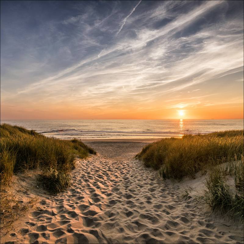 ProArt Glas-Art 30x30cm Weg Zum Strand von ProArt