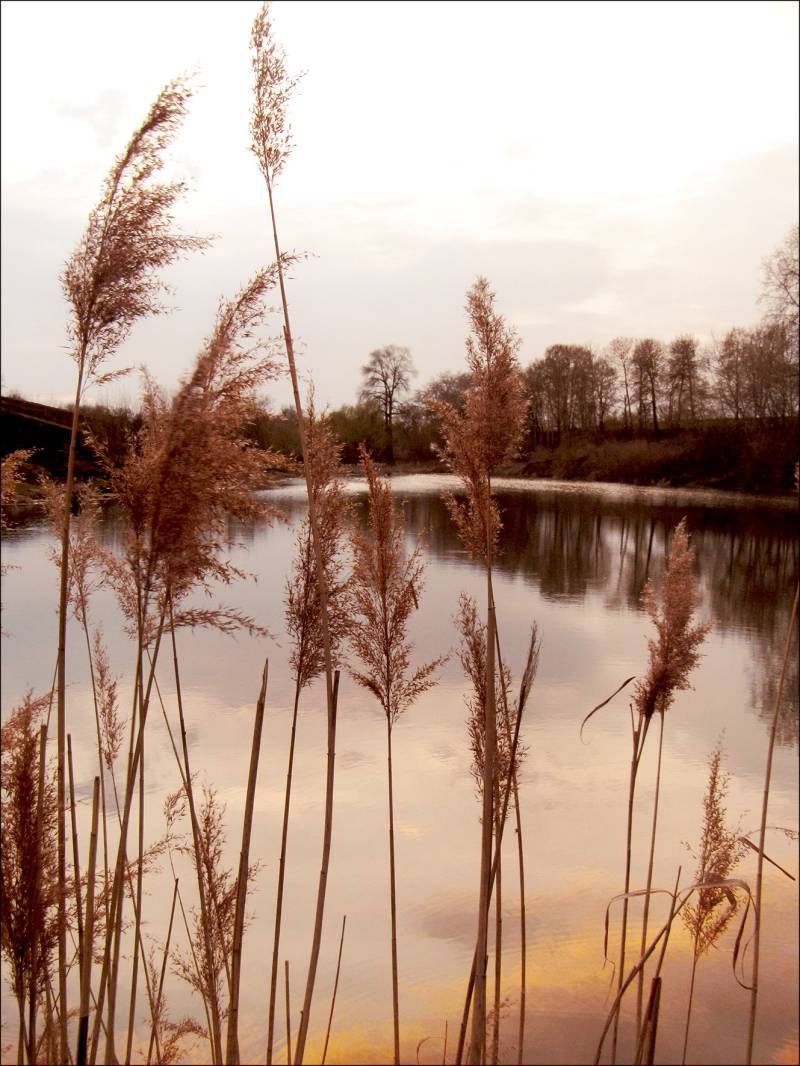 ProArt Glas-Art 60x80cm Evening at the Lake I von ProArt