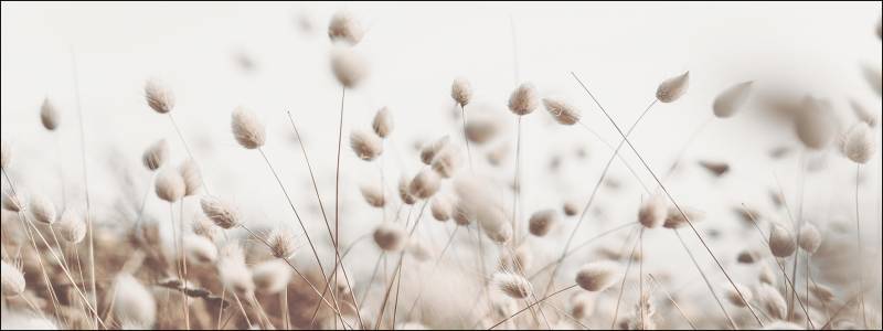 ProArt Glas-Art 80x30cm Field Flowers V ProArt Glas-Art 80x30cm Field Flowers V von ProArt