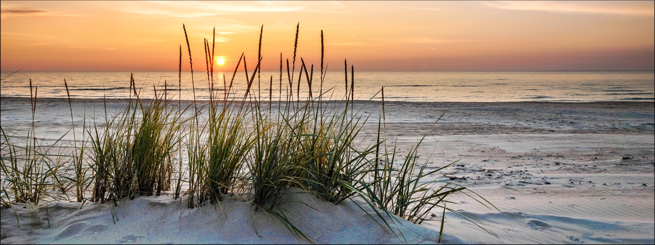 ProArt Glas-Art 80x30cm Lonely Dune ProArt Glas-Art 80x30cm Lonely Dune von ProArt